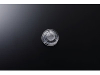 <b>BOSS FSC-10 Footswitch Cap Tampas de alta qualidade para pedais footswitch - Embalagem Pack 10 tampas</b> <b>BOSS FSC-10 Footswitch Cap Tampas de alta qualidade para pedais footswitch - Embalagem Pack 10 tampas</b>